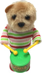 Bento Musical Teddy Bear