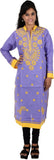 Parijat Embroidered Women's Straight Kurta