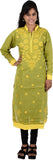 Parijat Embroidered Women's Straight Kurta