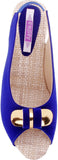 Aashka Women Wedges