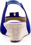 Aashka Women Wedges