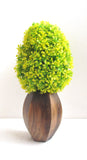 Miracle Retail Bonsai Wild Plant Artificial Plant  with Pot