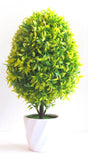 Miracle Retail Bonsai Wild Plant Artificial Plant  with Pot