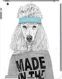 DailyObjects Back Cover for Apple iPad 2, 3, 4