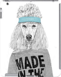 DailyObjects Back Cover for Apple iPad 2, 3, 4