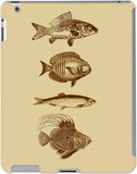 DailyObjects Back Cover for Apple iPad 2/3/4