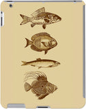 DailyObjects Back Cover for Apple iPad 2/3/4