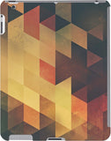 DailyObjects Back Cover for Apple iPad 2, 3, 4