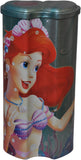 Disney Princess Cartoon Art Metal Pencil Box