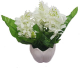 Decore Sources Assorted Artificial Plant  with Pot
