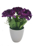 Decore Sources Assorted Artificial Plant  with Pot