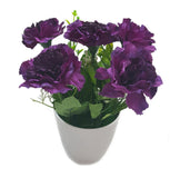 Decore Sources Assorted Artificial Plant  with Pot