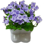 Decore Sources Assorted Artificial Plant  with Pot
