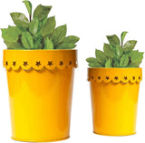 Color Palatte Plant Container Set