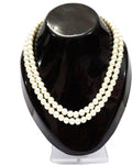 Vision Shell Necklace