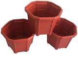 First Smart Deal Plant Container Set