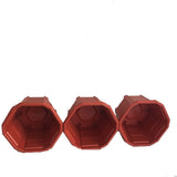 First Smart Deal Plant Container Set