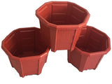 First Smart Deal Plant Container Set