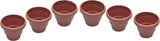 First Smart Deal Plant Container Set