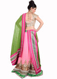 Ambika Lahenga Embroidered Lehenga, Choli and Dupatta Set