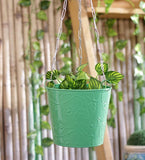 Green Girgit Plant Container Set