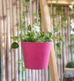 Green Girgit Plant Container Set
