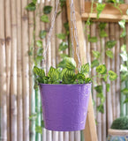 Green Girgit Plant Container Set
