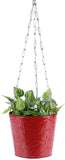 Green Girgit Plant Container Set