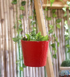 Green Girgit Plant Container Set
