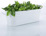 Green Girgit Plant Container Set