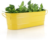 Green Girgit Plant Container Set