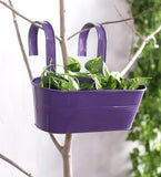 Green Girgit Plant Container Set