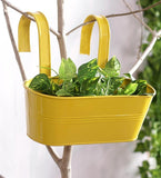 Green Girgit Plant Container Set