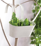 Green Girgit Plant Container Set