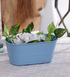 Green Girgit Plant Container Set