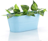 Green Girgit Plant Container Set