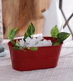 Green Girgit Plant Container Set