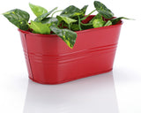 Green Girgit Plant Container Set