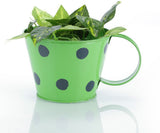Green Girgit Plant Container Set