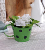 Green Girgit Plant Container Set
