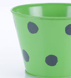 Green Girgit Plant Container Set