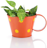 Green Girgit Plant Container Set