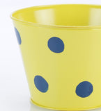 Green Girgit Plant Container Set