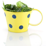 Green Girgit Plant Container Set