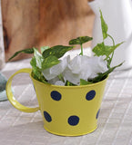 Green Girgit Plant Container Set