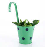 Green Girgit Plant Container Set