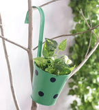 Green Girgit Plant Container Set