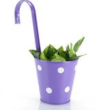 Green Girgit Plant Container Set