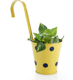 Green Girgit Plant Container Set