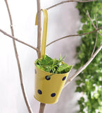 Green Girgit Plant Container Set
